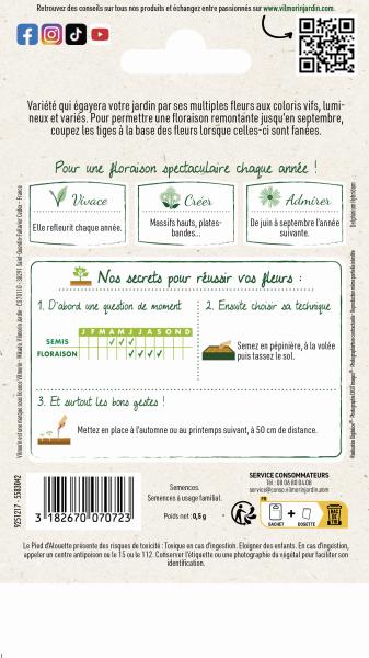 Fleurs - Pied d'Alouette Vivace Varié - MEDIA_PACKAGING_VERSO